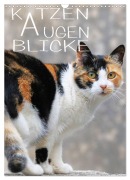 KATZEN AUGEN BLICKE (Wandkalender 2026 DIN A3 hoch), CALVENDO Monatskalender - Reinhard Sock