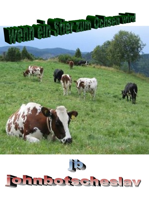 wenn ein Stier zum Ochsen wird - Johnbotscheslav
