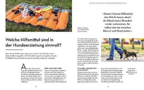 InsideView 5