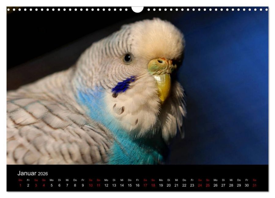 InsideView 6