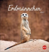 Cover-Bild zum Titel 'Erdmännchen Postkartenkalender 2027' von ''