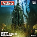 Cover-Bild zum Titel 'Perry Rhodan 2952: Wald der Nodhkaris' von 'Michelle Stern'