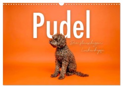 Cover-Bild zum Titel 'Pudel - Die flauschigen Lockenköpfe. (Wandkalender 2026 DIN A3 quer), CALVENDO Monatskalender' von 'Sf Sf'