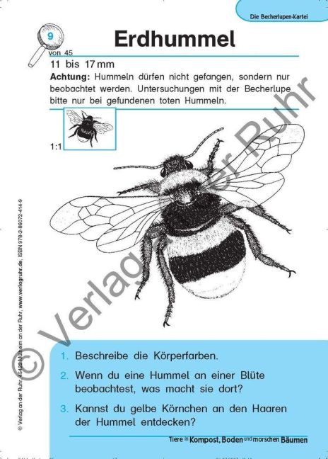 InsideView 3