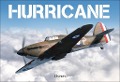 Cover-Bild zum Titel 'Hurricane' von 'Bloomsbury Publishing'