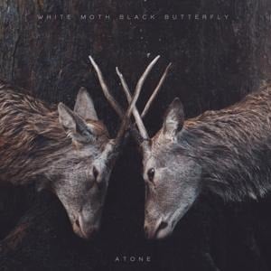 Atone - White Moth Black Butterfly