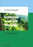 Cover-Bild zum Titel 'Tomavic und die Zufälle' von 'Joachim Schmidt'