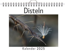 Cover-Bild zum Titel 'Disteln' von 'Aaron Vogel'