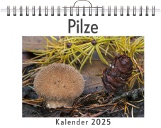Cover-Bild zum Titel 'Pilze' von 'David Keller'