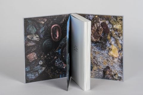 InsideView 15