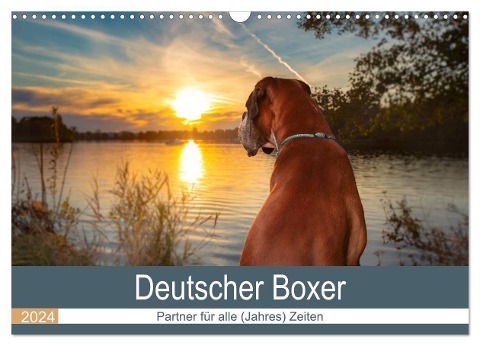 Deutscher Boxer (Wandkalender 2024 DIN A3 quer), CALVENDO Monatskalender - Kerstin Mielke