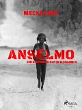 Cover-Bild zum Titel 'Anselmo - Ein Kindersoldat in Mosambik' von 'Mecka Lind'