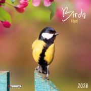 Cover-Bild zum Titel 'Birds 2026' von ''