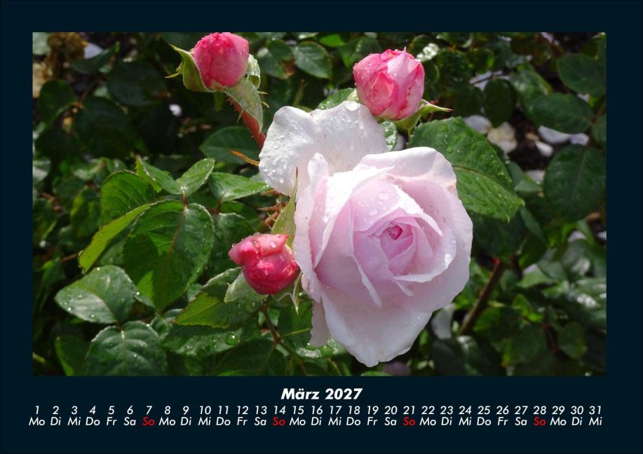 InsideView 7
