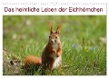 Das heimliche Leben der Eichhörnchen (Wandkalender 2025 DIN A3 quer), CALVENDO Monatskalender - Kattobello Kattobello