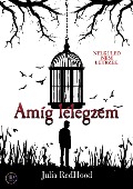 Cover-Bild zum Titel 'Amíg lélegzem' von 'Julia RedHood'
