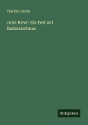 Cover-Bild zum Titel 'John Riew': Ein Fest auf Haderslevhuus' von 'Theodor Storm'