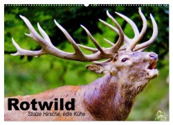 Cover-Bild zum Titel 'Rotwild. Edle Hirsche, stolze Kühe (Wandkalender 2026 DIN A2 quer), CALVENDO Monatskalender' von 'Elisabeth Stanzer'