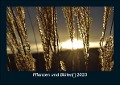 Pflanzen und Blüten 2023 Fotokalender DIN A5 - Tobias Becker