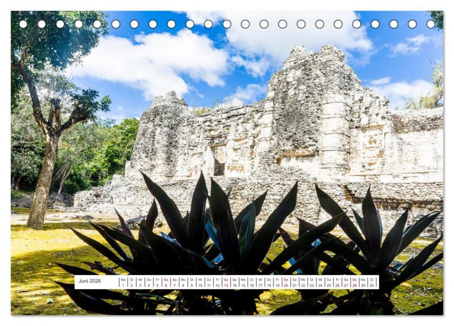 InsideView 11
