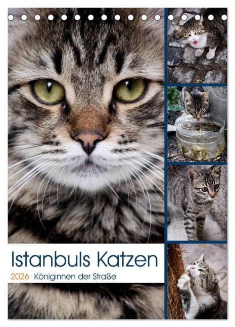 Istanbuls Katzen (Tischkalender 2026 DIN A5 hoch), CALVENDO Monatskalender - Harald Wagener