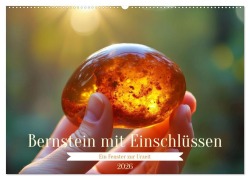 Cover-Bild zum Titel 'Bernstein mit Einschlüssen (Wandkalender 2026 DIN A2 quer), CALVENDO Monatskalender' von 'Torsten Irmer'