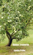 Cover-Bild zum Titel 'Hidden Treasures' von 'Camilla Praller'