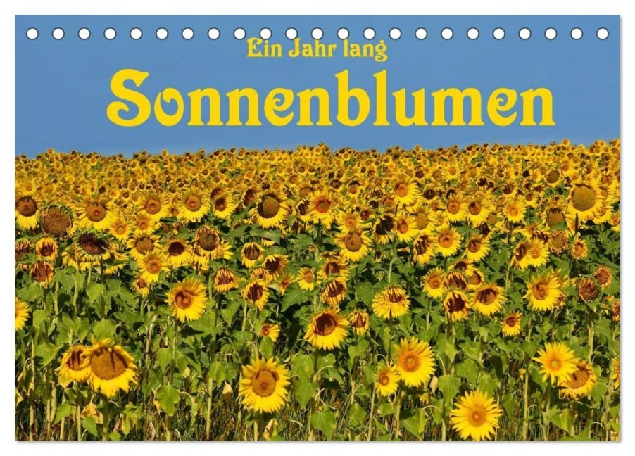 Ein Jahr lang Sonnenblumen (Tischkalender 2026 DIN A5 quer), CALVENDO Monatskalender - Anke van Wyk - www. germanpix. net