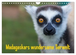 Madagaskars wundersame Tierwelt (Wandkalender 2026 DIN A4 quer), CALVENDO Monatskalender - Antje Hopfmann