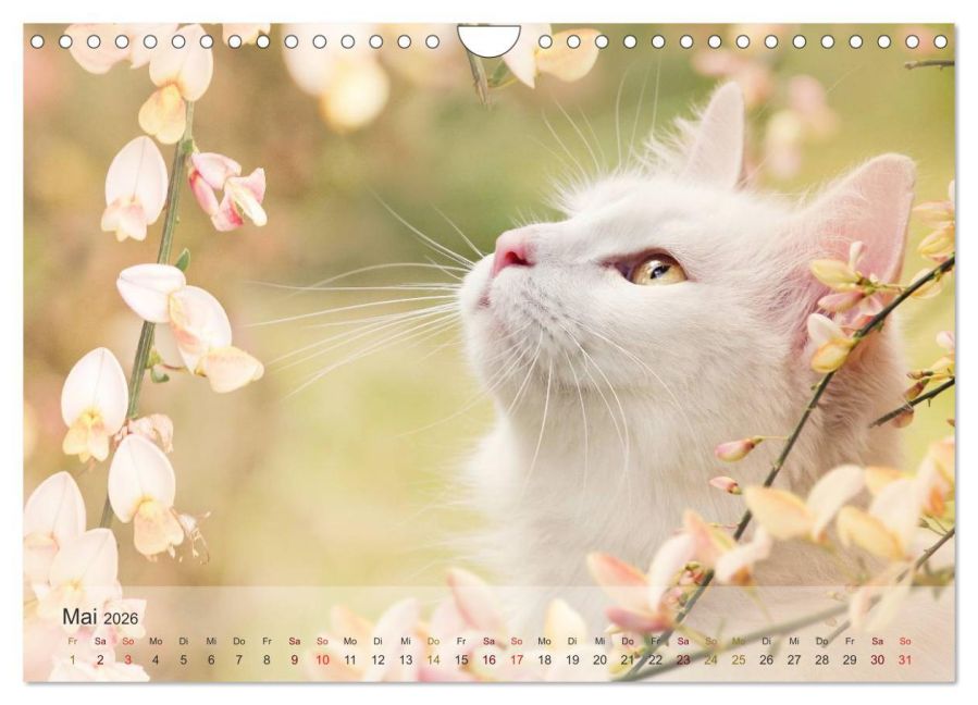 InsideView 10