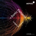 Cover-Bild zum Titel 'Sonic Patterns' von 'Ludger Brümmer'