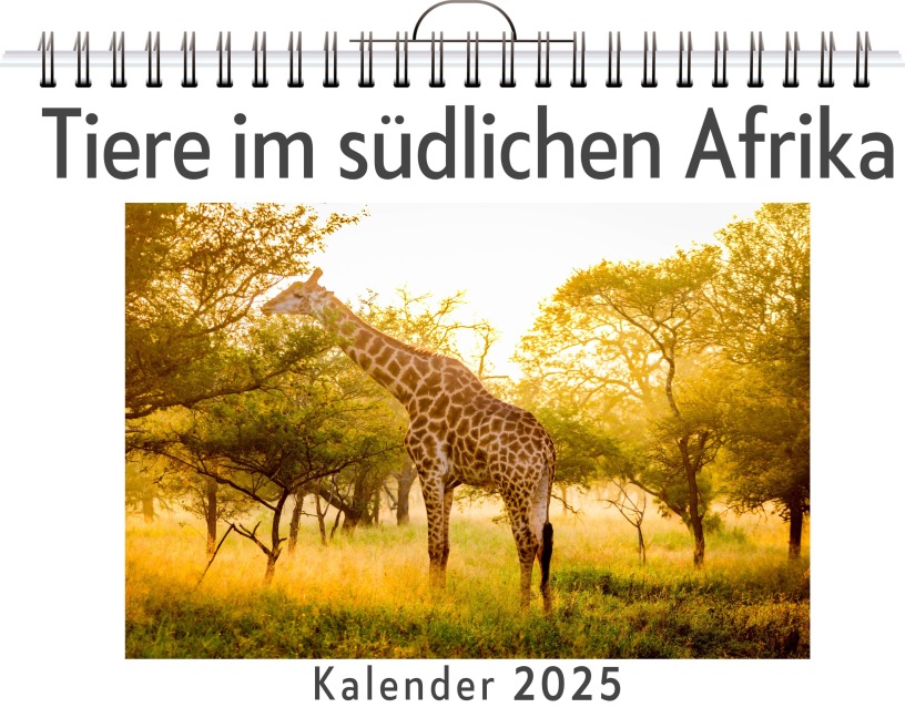 Tiere im südlichen Afrika - Tim Frank
