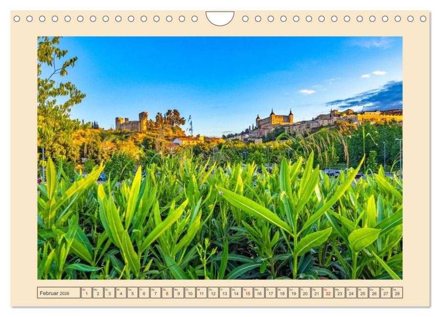 InsideView 7
