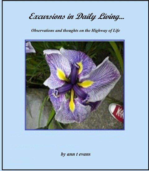 Excursions in Daily Living - Ann Evans