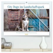 City Dogs im Landschaftspark (hochwertiger Premium Wandkalender 2026 DIN A2 quer), Kunstdruck in Hochglanz - Fotodesign Verena Scholze