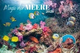 Cover-Bild zum Titel 'Magie der Meere 2026' von ''