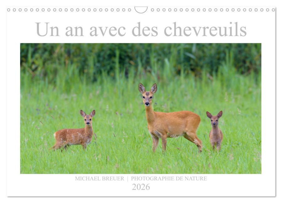 Un an avec des chevreuils (Calendrier mural 2026 DIN A3 vertical), CALVENDO calendrier mensuel - Michael Breuer