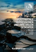 Cover-Bild zum Titel 'Postpartale Depressionen und ihre vielen Gesichter' von 'Anke Rohde, Almut Dorn'