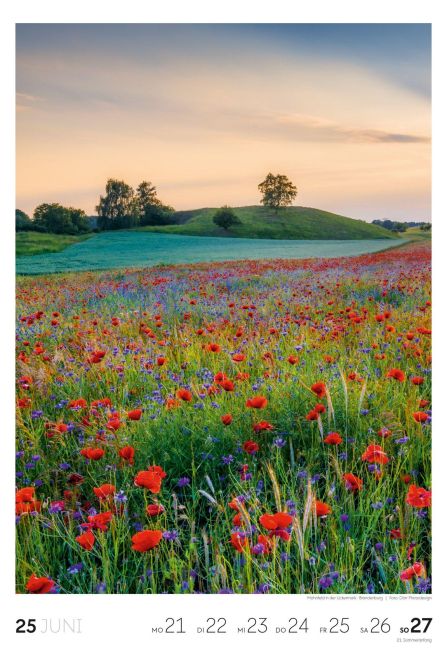 InsideView 26