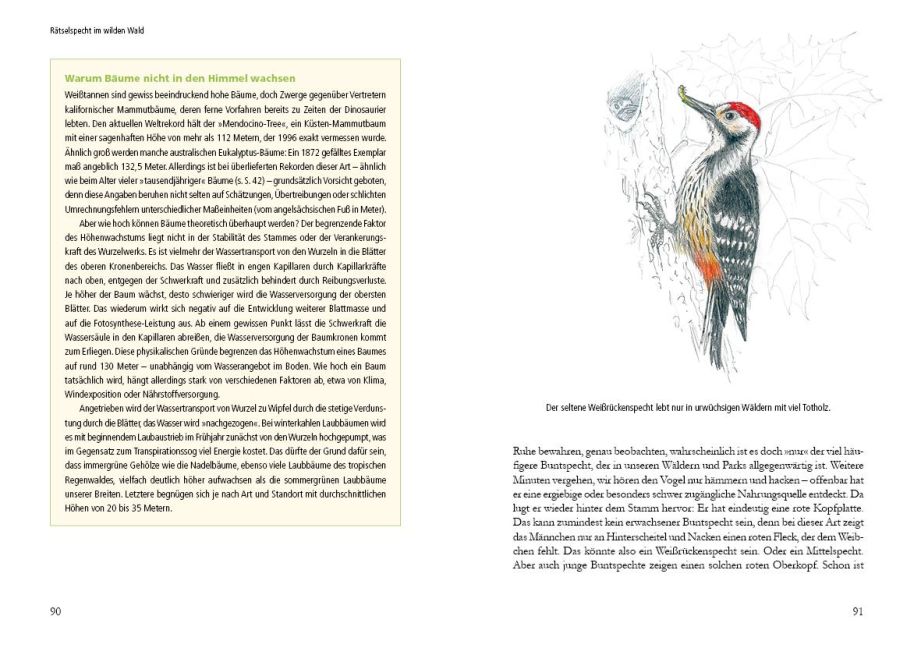 InsideView 3