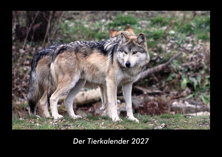 Der Tierkalender 2027 Fotokalender DIN A3 - Tobias Becker