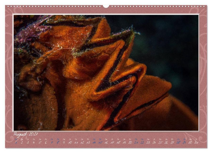 InsideView 12