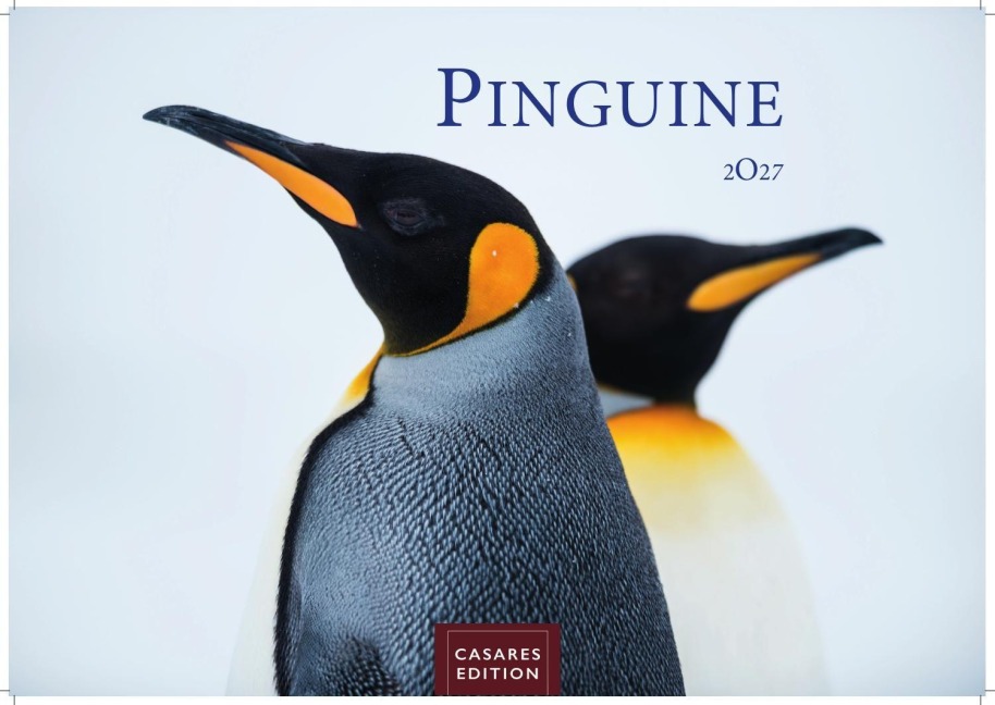 Pinguine Kalender 2027 - Wandkalender | Fotokalender Tierkalender 35x50cm Grosses Format | . mit niedlichen Pinguin-Motiven im antarktischen Lebensraum. - 