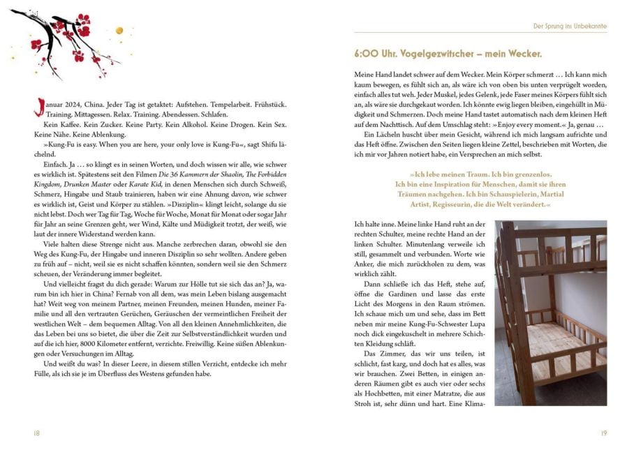 InsideView 6
