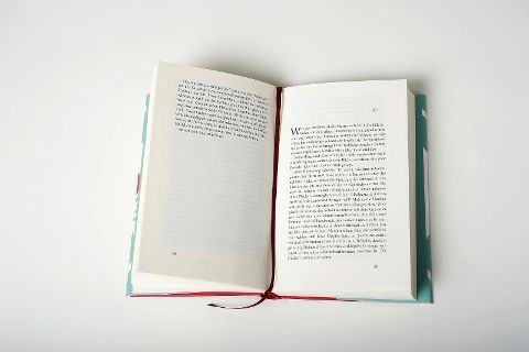 InsideView 4