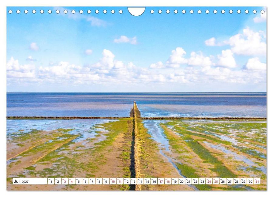 InsideView 12