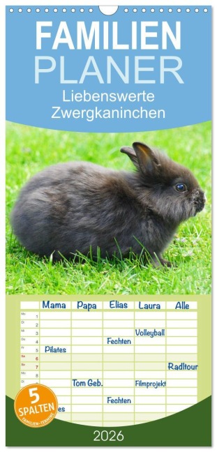 Familienplaner 2026 - Liebenswerte Zwergkaninchen mit 5 Spalten (Wandkalender, 21 x 45 cm) CALVENDO - Kattobello Kattobello
