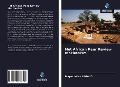 Cover-Bild zum Titel 'Het African Peer Review Mechanism' von 'Mayeul Alex Lagaud'