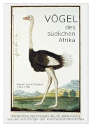 Cover-Bild zum Titel 'Vögel des südlichen Afrika (Wandkalender 2026 DIN A2 hoch), CALVENDO Monatskalender' von 'Jost Galle'