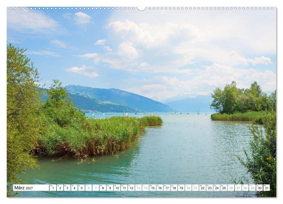 InsideView 8